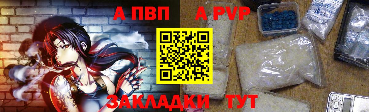 Alfa_PVP СК Верхняя Пышма