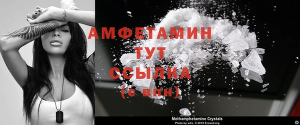 spice Богданович