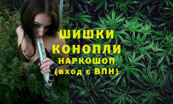 дурь Богородицк