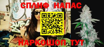 прущие крисы Бийск