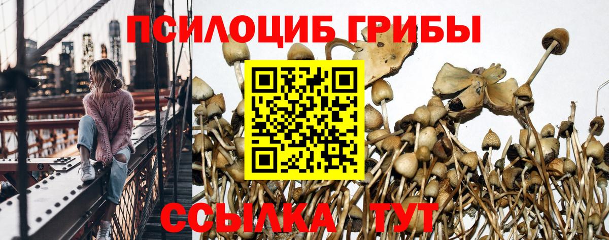 Галлюциногенные грибы ЛСД  Верхняя Пышма 