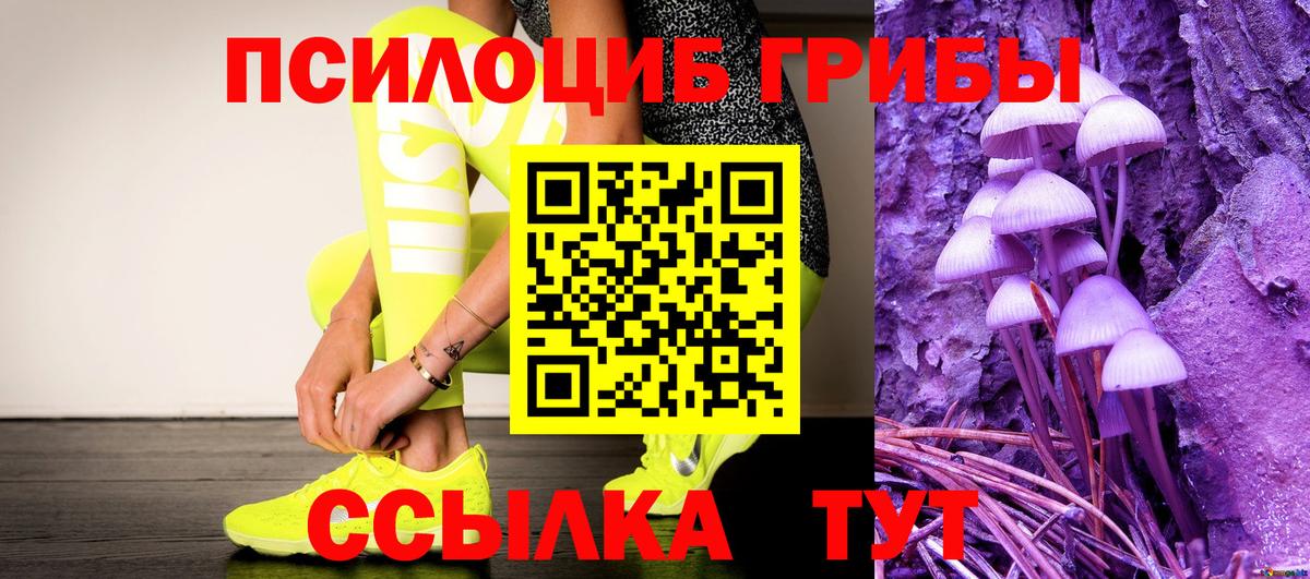 Псилоцибиновые грибы мухоморы Верхняя Пышма